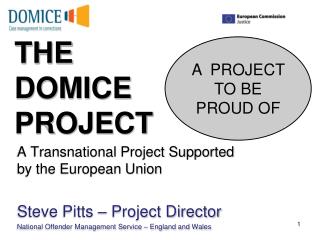 THE DOMICE PROJECT