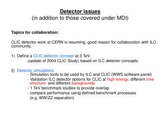 Detector issues (in addition to those covered under MDI)