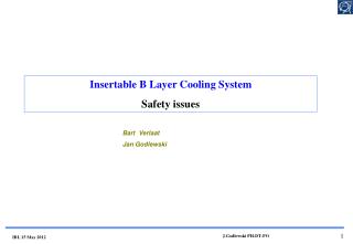 Insertable B Layer Cooling System Safety issues