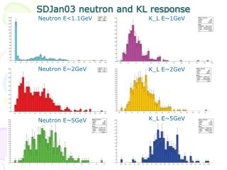 SDJan03 neutron and KL response