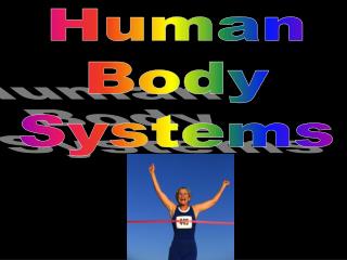 Human Body Systems