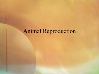 Animal Reproduction