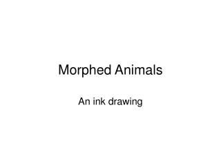 Morphed Animals