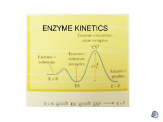 ENZYME KINETICS