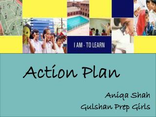 Action Plan