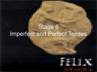 Stage 6 Imperfect and Perfect Tenses