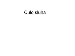 Č ulo sluha