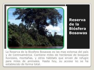 Reserva de la Biósfera Bosawas