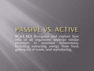 Passive VS. Active