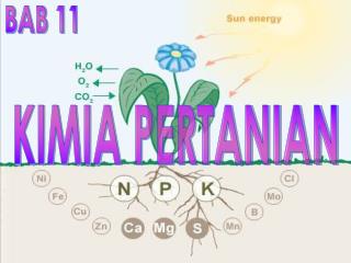 KIMIA PERTANIAN