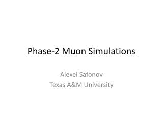 Phase-2 Muon Simulations
