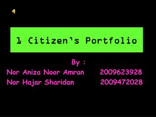 1 Citizen’s Portfolio