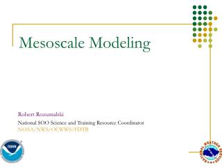 Mesoscale Modeling