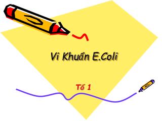 Vi Khuẩn E.Coli