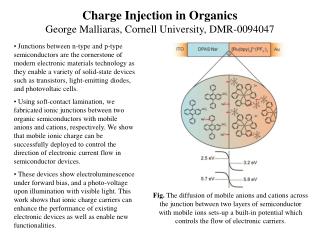 Charge Injection in Organics George Malliaras, Cornell University, DMR -0094047