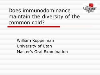 Does immunodominance maintain the diversity of the common cold?
