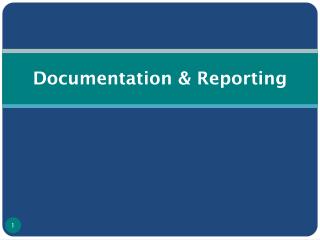 Documentation &amp; Reporting