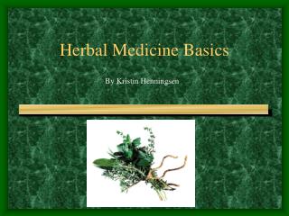 Herbal Medicine Basics