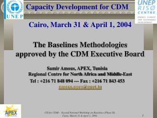 Capacity Development for CDM Cairo, March 31 &amp; April 1, 2004