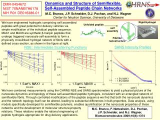 DMR-0454672 NIST 70NANB7H6178 NIH R01 DE016386-01