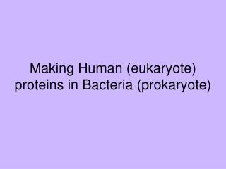 Making Human (eukaryote) proteins in Bacteria (prokaryote)