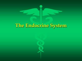 The Endocrine System