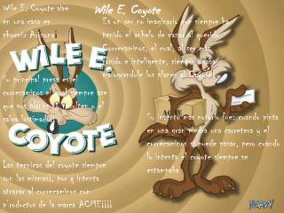 Wile E.  Coyote vive en una casa en phoenix Arizona ¡