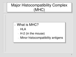 Major Histocompatibility Complex (MHC)