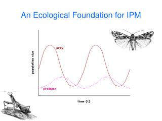 An Ecological Foundation for IPM