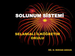 SOLUNUM SİSTEMİ