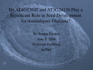 Do AT4G13640 and AT3G24120 Play a Significant Role in Seed Development for Arabidopsis Thaliana ?