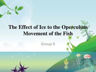 The Effect of Ice to the Operculum Movement of the Fish