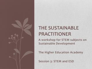 The Sustainable practitioner