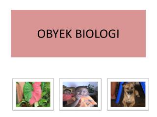 OBYEK BIOLOGI