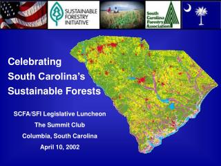 Celebrating South Carolina’s Sustainable Forests