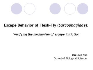 Escape Behavior of Flesh-Fly ( Sarcophagidae): Verifying the mechanism of escape initiation