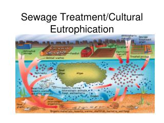 Sewage Treatment/Cultural Eutrophication