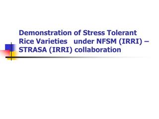 Demonstration of Stress Tolerant Rice Varieties under NFSM (IRRI) – STRASA (IRRI) collaboration