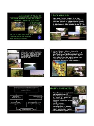 MANAGEMENT PLAN OF 	MUARA ANGKE GAME RESERVE, 		NORTH JAKARTA DISTRICT, 					INDONESIA