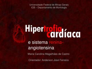 Universidade Federal de Minas Gerais ICB – Departamento de Morfologia