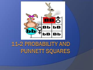 11-2 Probability and PunneTt Squares