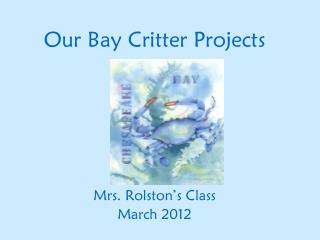 Our Bay Critter Projects