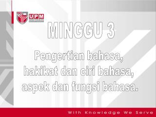 MINGGU 3