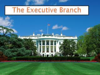 The Executive Branch