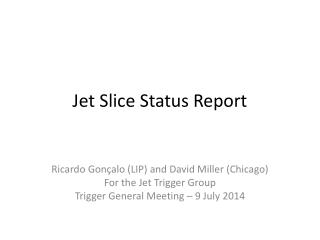 Jet Slice Status Report