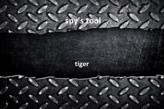 spy's tool