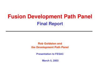 Fusion Development Path Panel Final Report