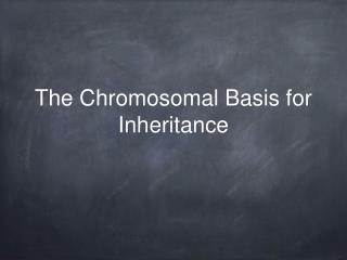 The Chromosomal Basis for Inheritance