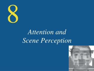 Attention and Scene Perception