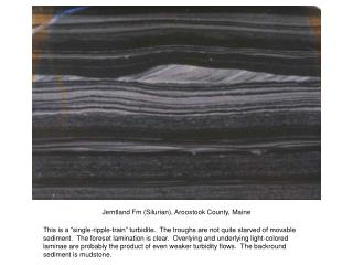 Jemtland Fm (Silurian), Aroostook County, Maine